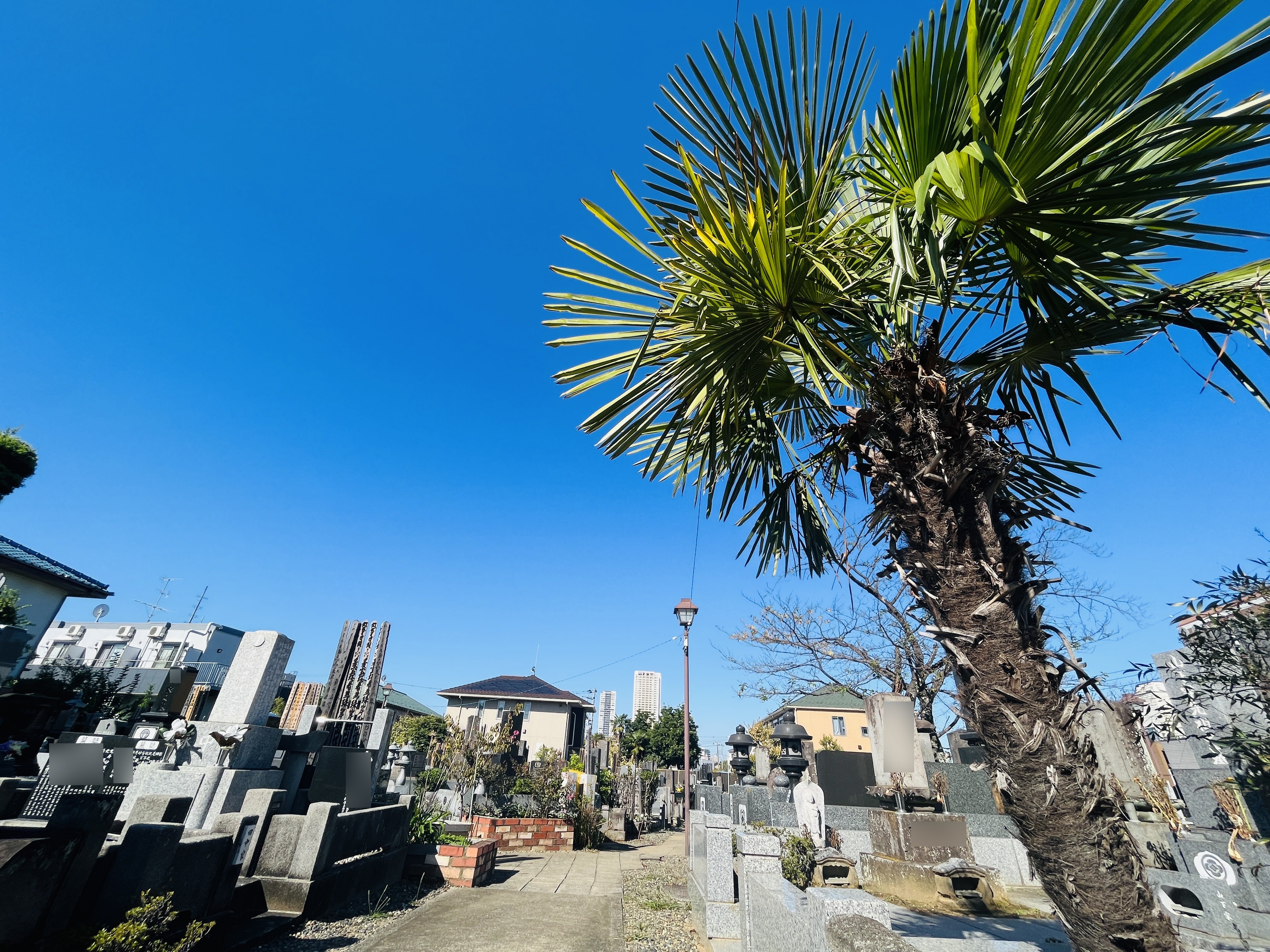 鬼越霊園